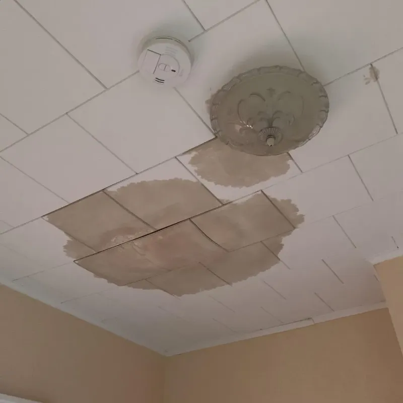 Ceiling Water Damage Repair in Washington, VA