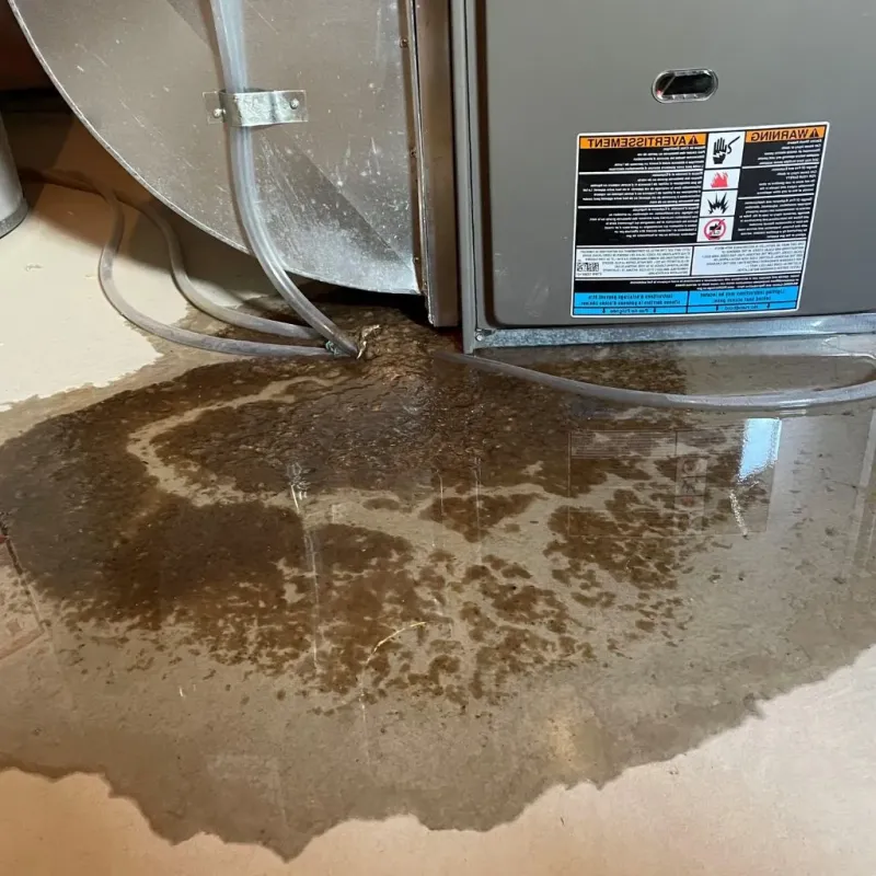 Pipe Burst and Leak Restoration in Washington, VA